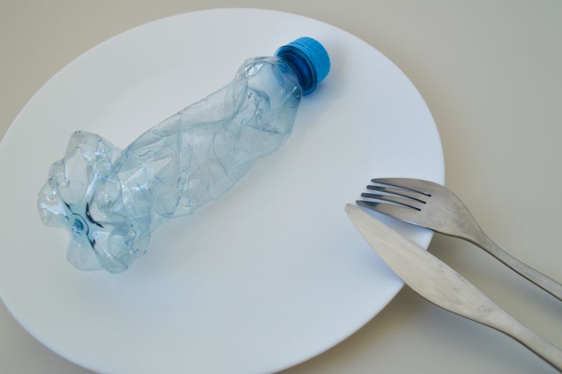 The impact of plastic waste on human life